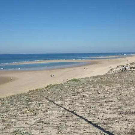 Mouchette Prázdninový dům Messanges (Landes)